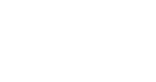 Fox Brothers Logo